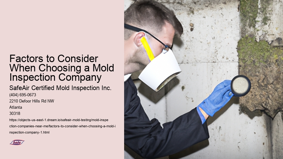 Factors to Consider When Choosing a Mold Inspection Company