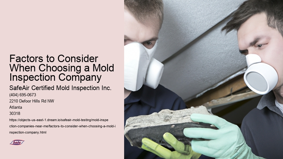 Factors to Consider When Choosing a Mold Inspection Company