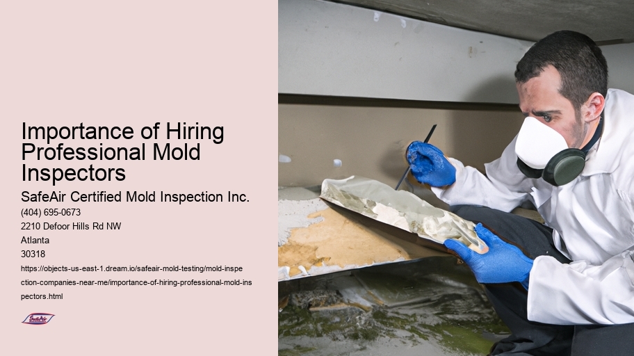 Importance of Hiring Professional Mold Inspectors