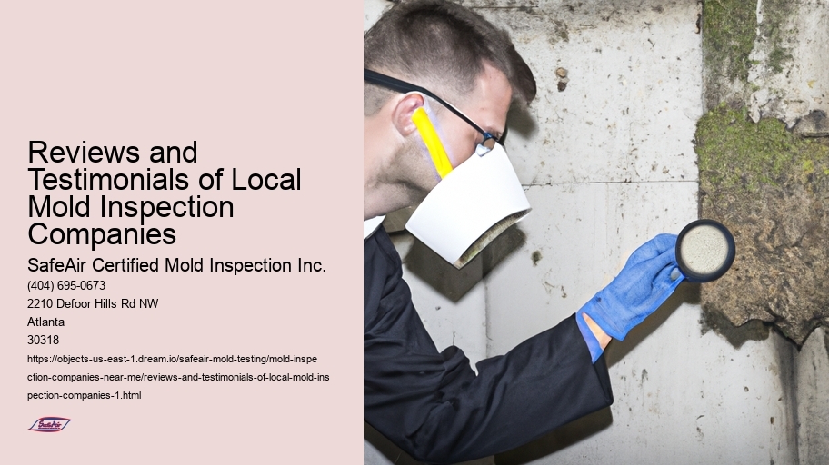 Reviews and Testimonials of Local Mold Inspection Companies