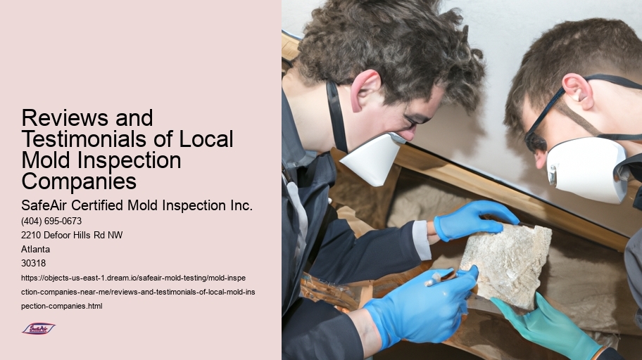 Reviews and Testimonials of Local Mold Inspection Companies