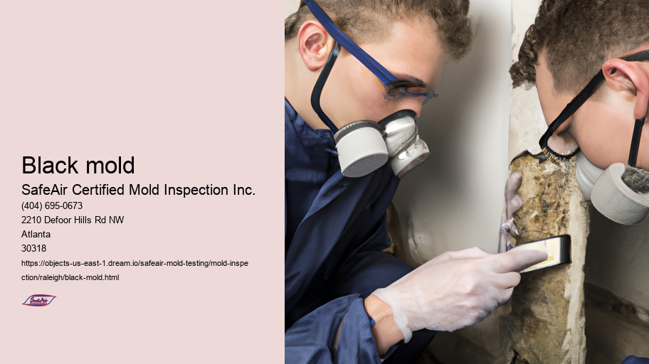 Black mold