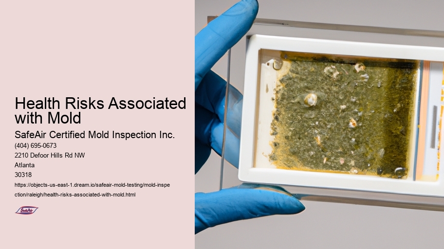 Health Risks Associated with Mold