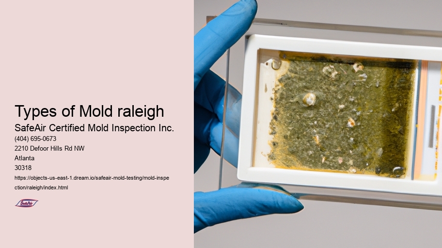 Types of Mold raleigh
