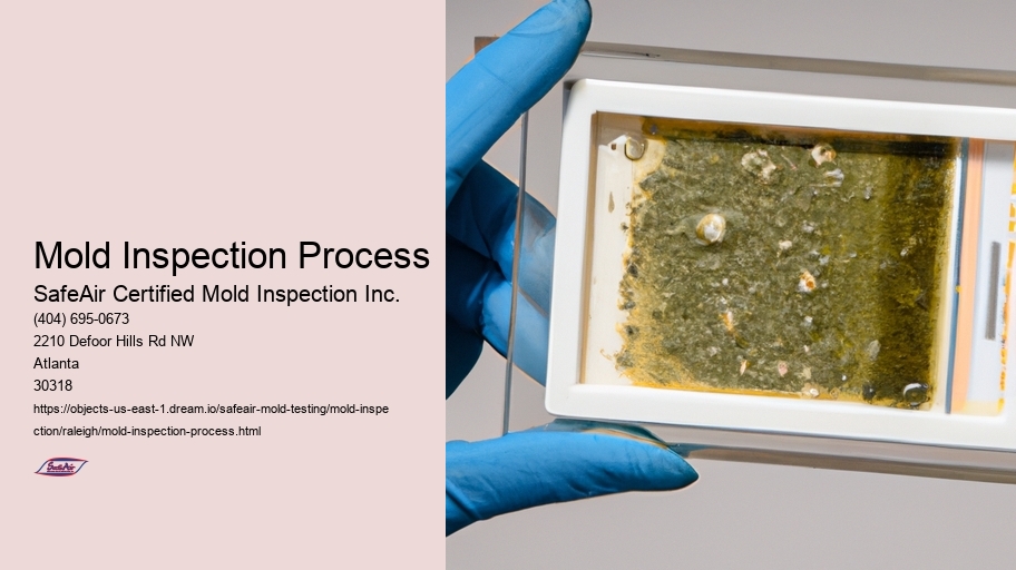 Mold Inspection Process
