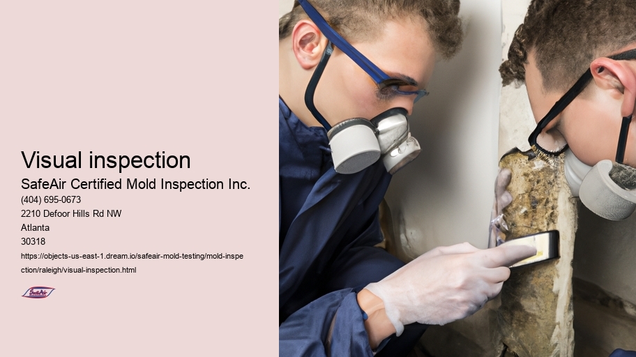 Visual inspection