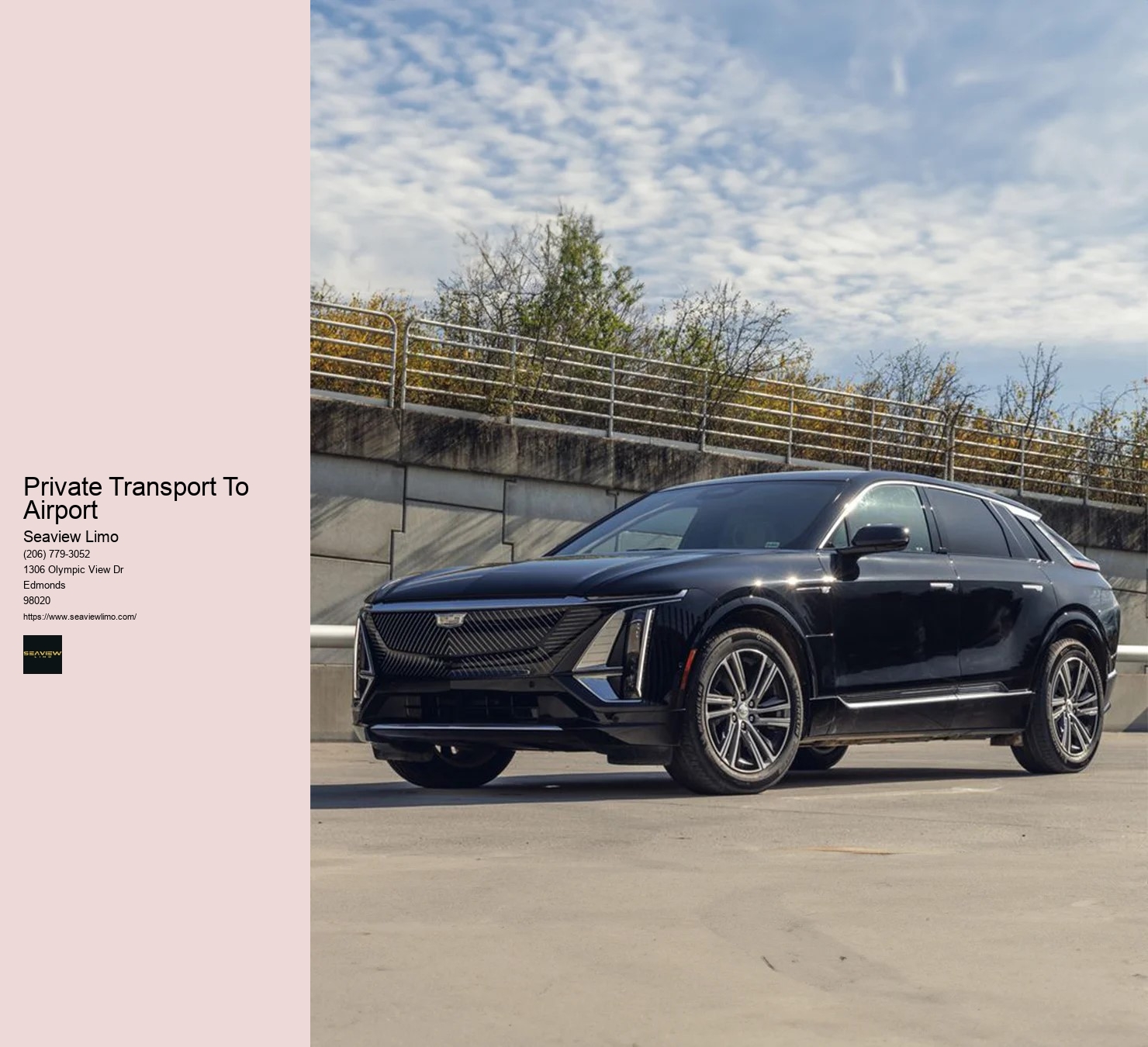 Luxury Passenger Transportation Services