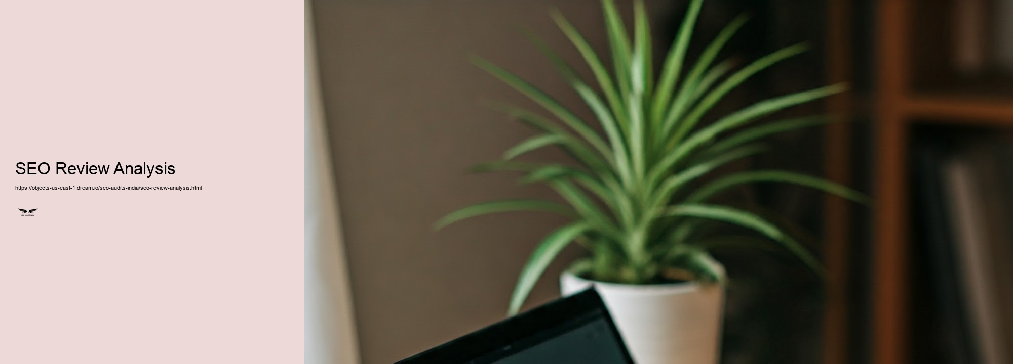 Advantages of Routine Seo Audits for Indian Companies
