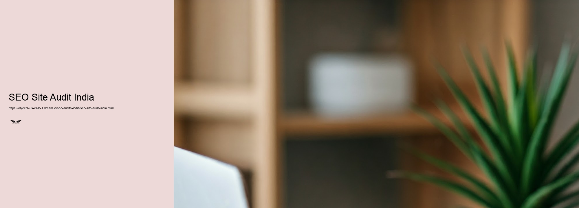 Benefits of Routine SEO Audits for Indian Services