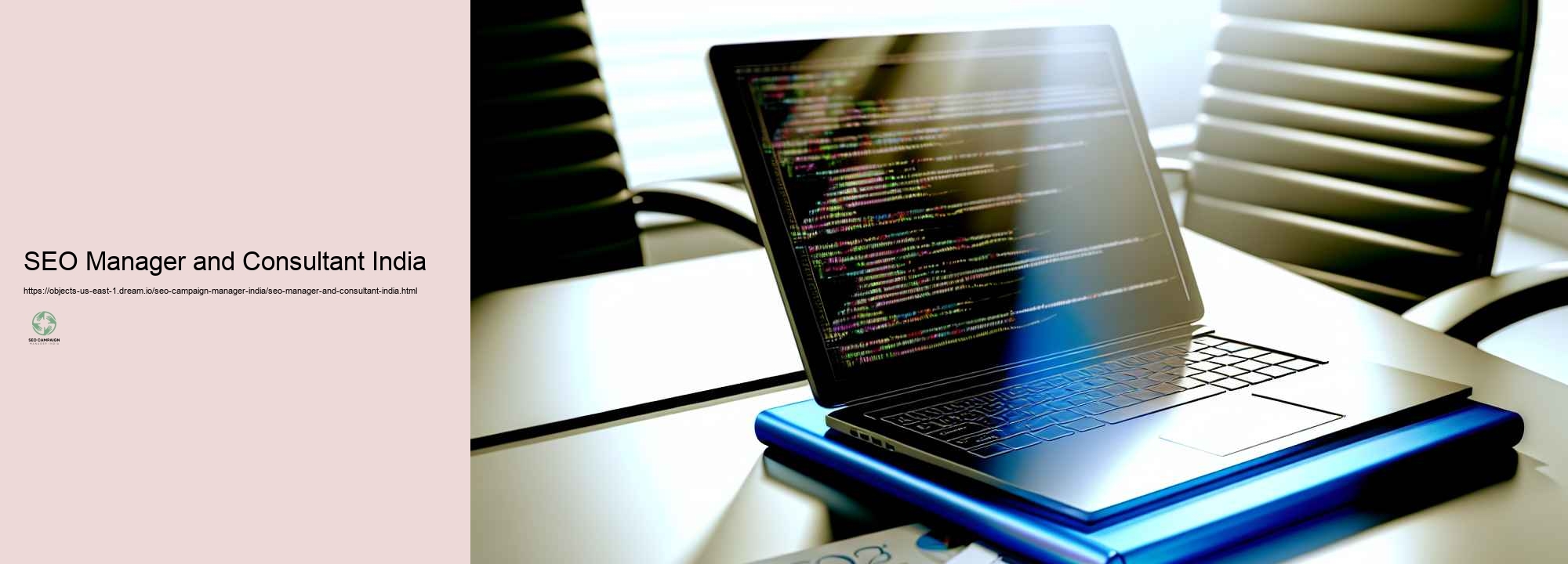 Just how to Evaluate Success with a SEO Project Manager in India