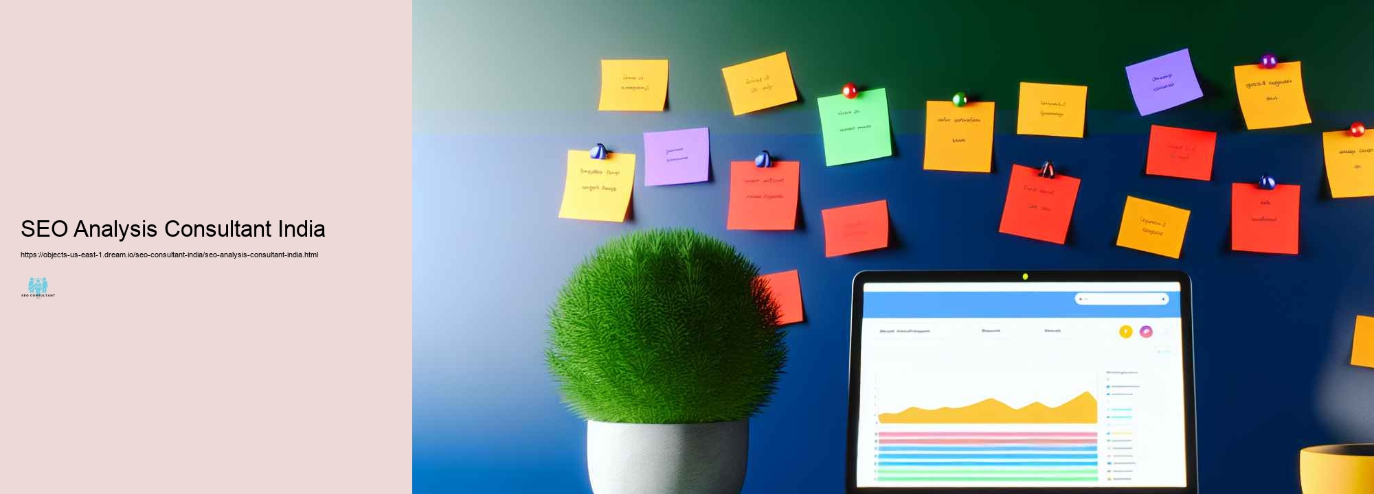 Just how a Seo Expert in India Can Rise Your Internet site 's Look Placements
