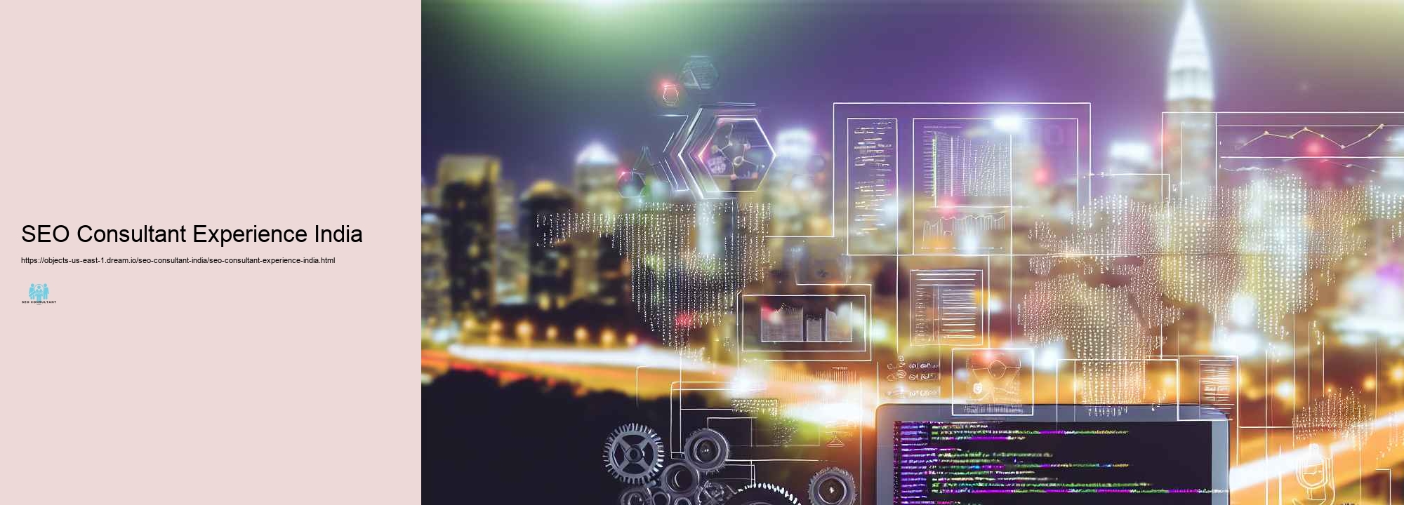 What to Get out of a SEO Professional in India: A Comprehensive Introduction