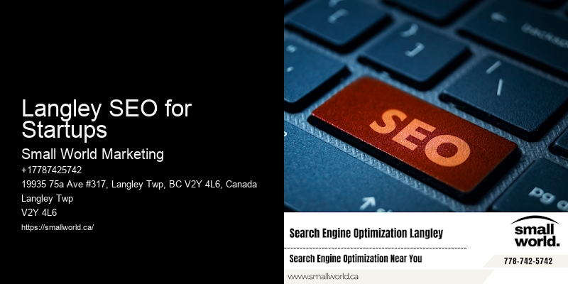 Langley SEO for Startups