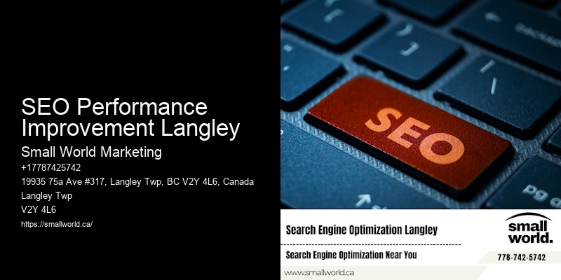 SEO Performance Improvement Langley