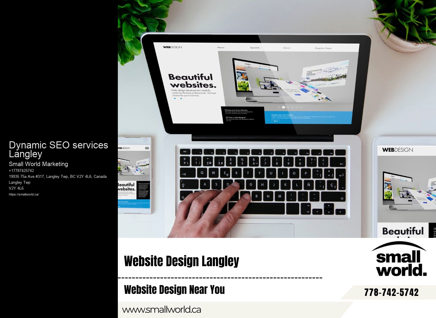SEO Consultant Dynamic SEO services Langley
