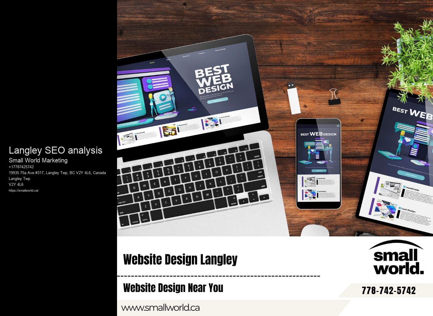 Langley SEO analysis BC SEO