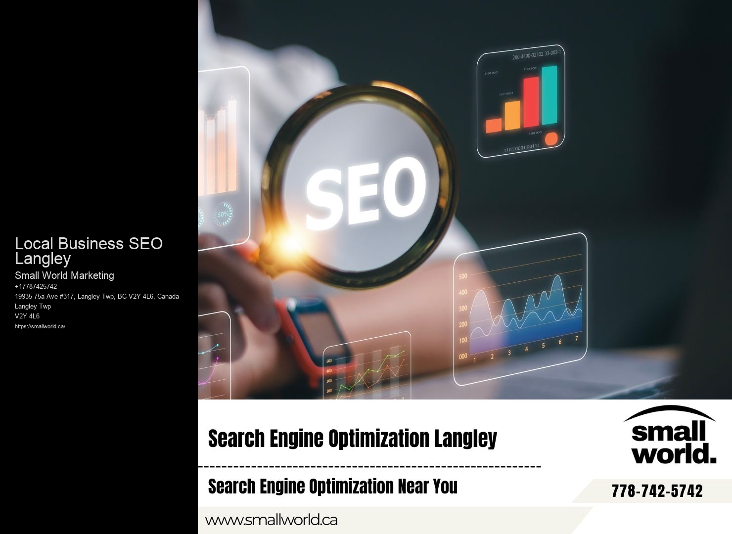 Local Business SEO Langley BC SEO audit and analysis