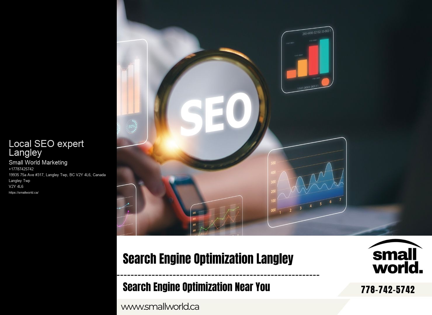 Local SEO expert Langley SEO strategies