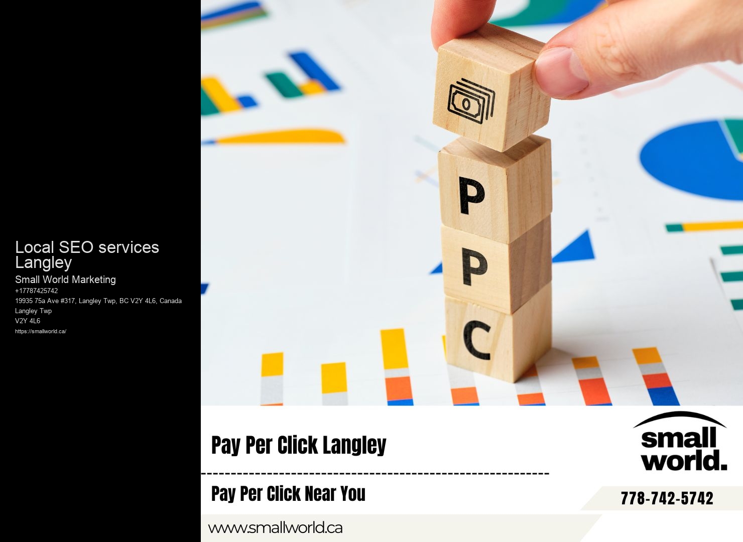 Expert SEO Consultation Local SEO services Langley