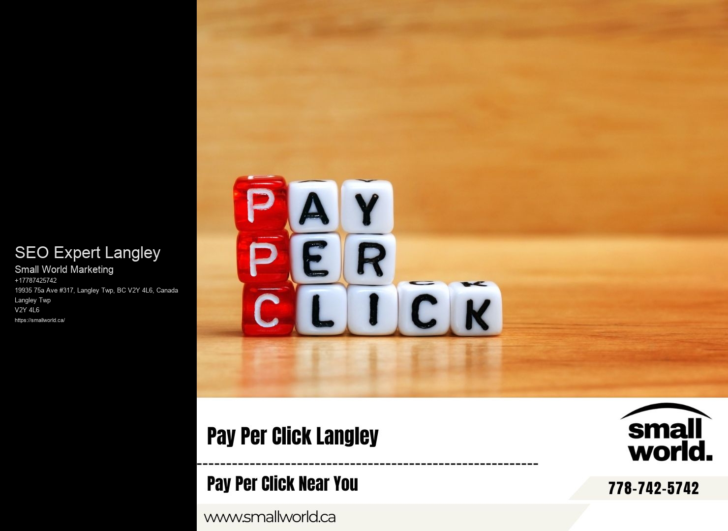 Top SEO Consultation Services in SEO Expert Langley