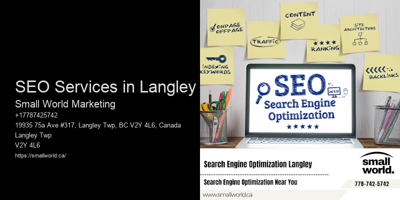 SEO Services in Langley