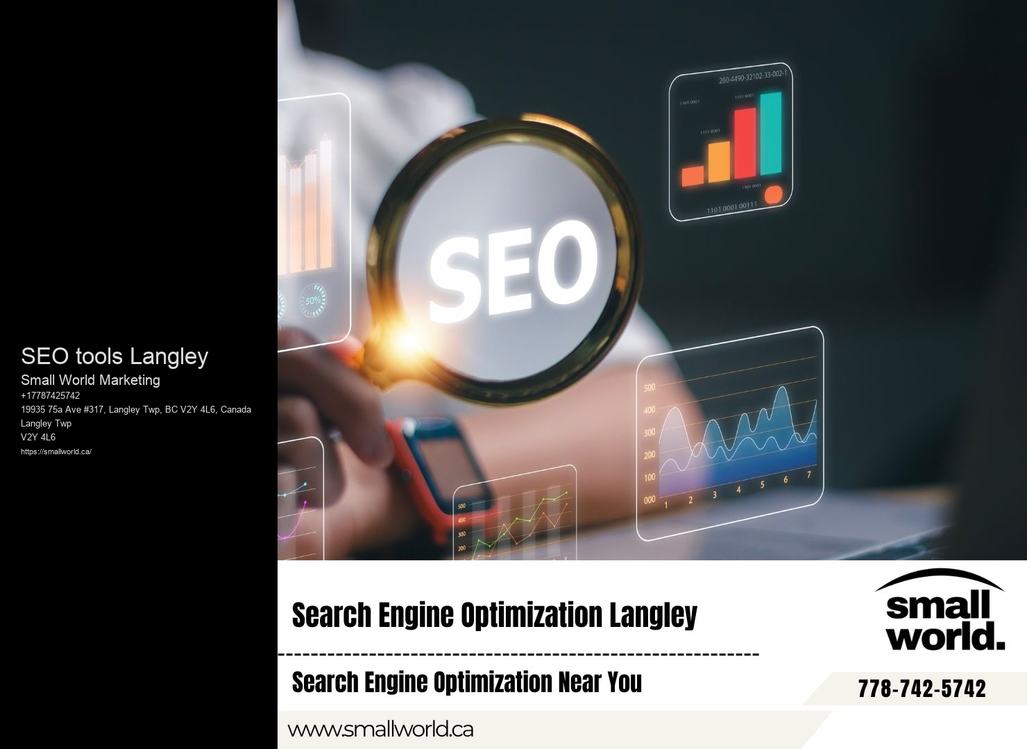 Tailored SEO strategies for SEO tools Langley businesses