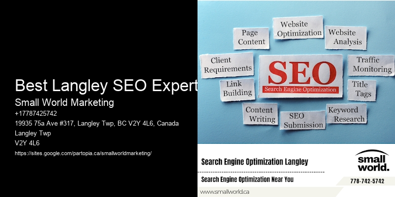 Best Langley SEO Expert