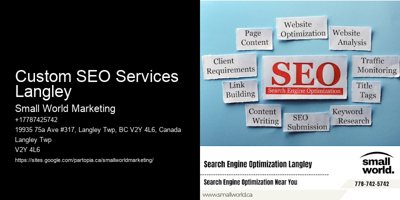 Custom SEO Services Langley