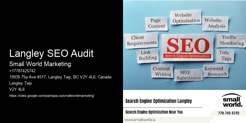 Langley SEO Audit