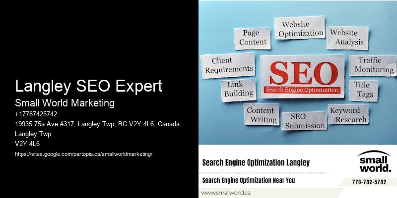 Langley SEO Expert
