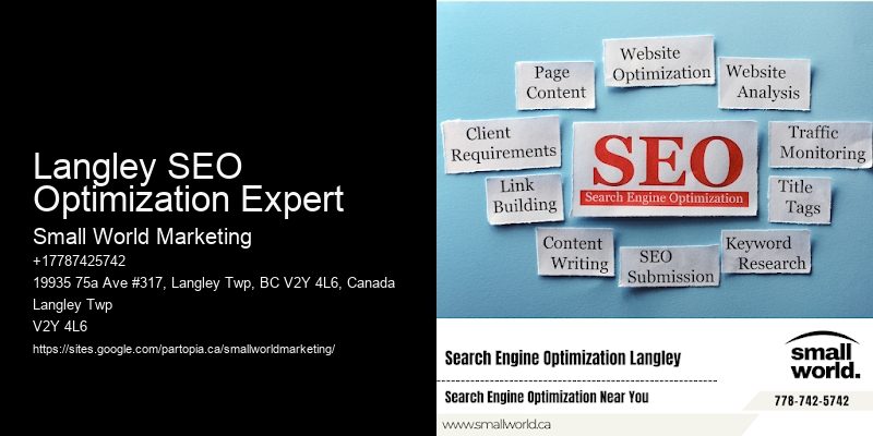 Langley SEO Optimization Expert