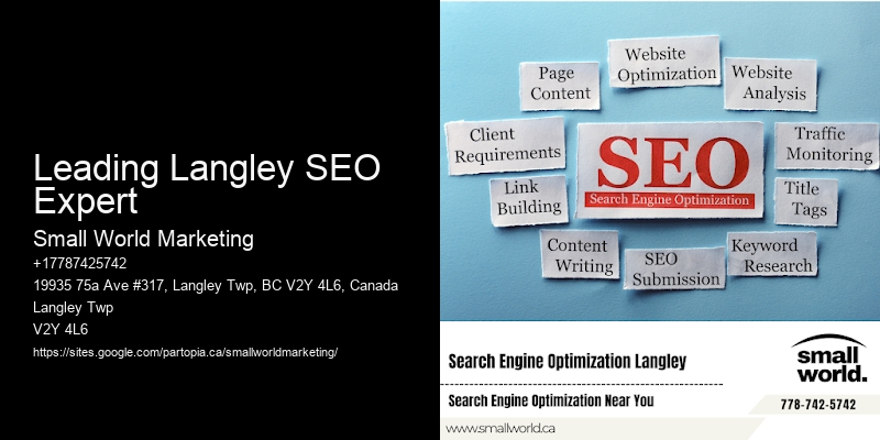 Leading Langley SEO Expert
