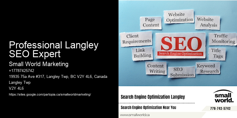 Professional Langley SEO Expert