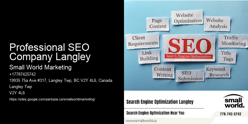 Professional SEO Company Langley