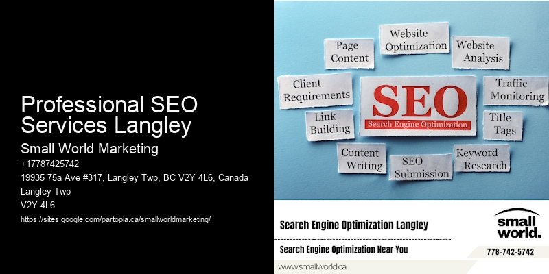 Professional SEO Services Langley