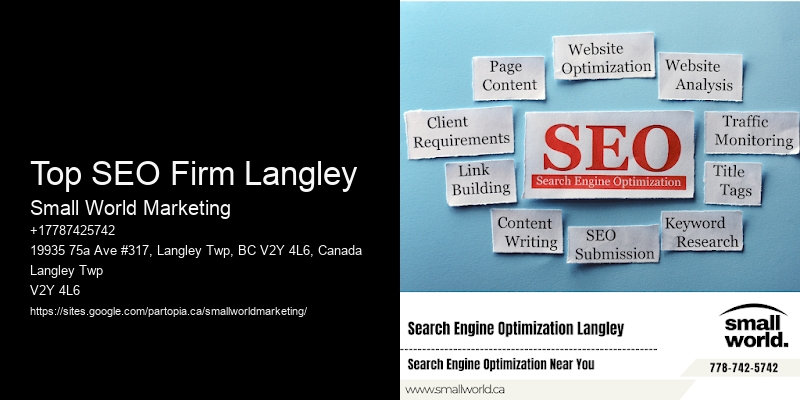 Top SEO Firm Langley