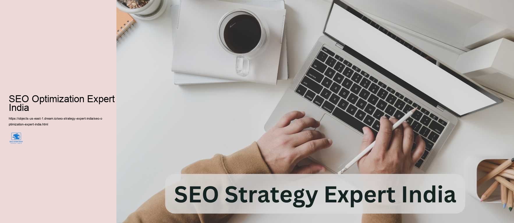 SEO Optimization Expert India