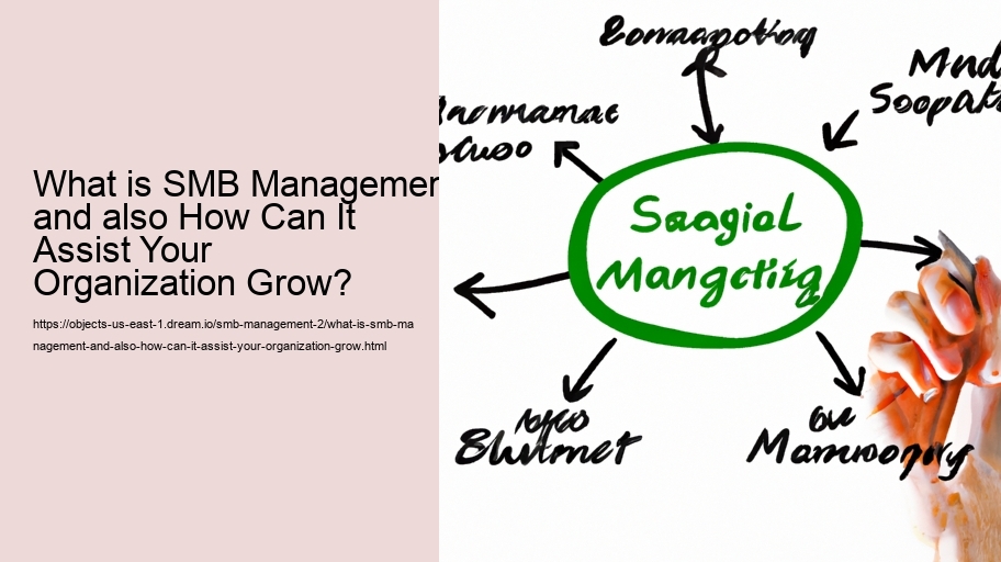 What is SMB Management and also How Can It Assist Your Organization Grow?