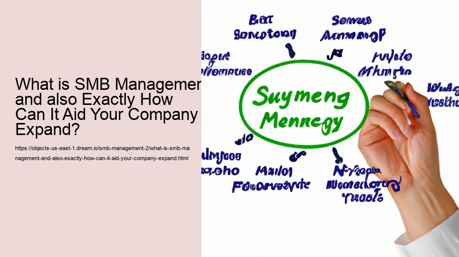 What is SMB Management and also Exactly How Can It Aid Your Company Expand?