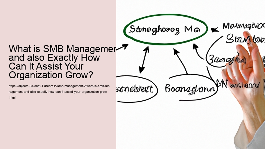 What is SMB Management and also Exactly How Can It Assist Your Organization Grow?