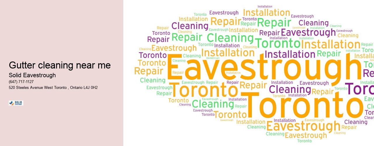 Gutter cleaning near me