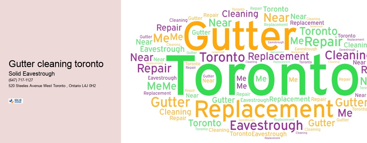 Gutter cleaning toronto
