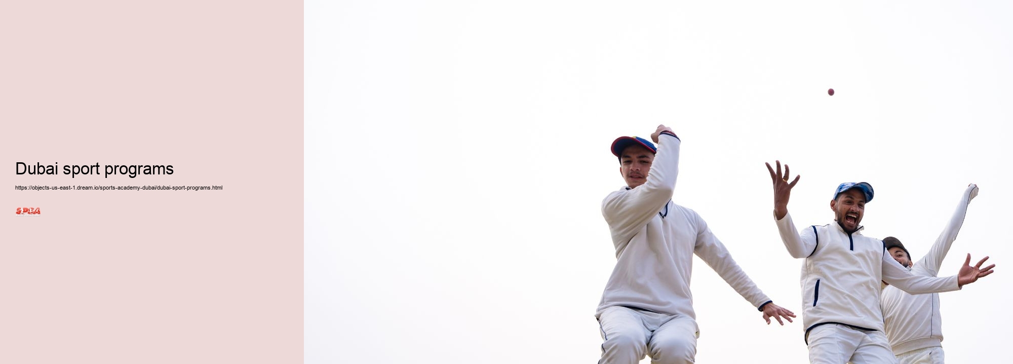 Dubai sport programs