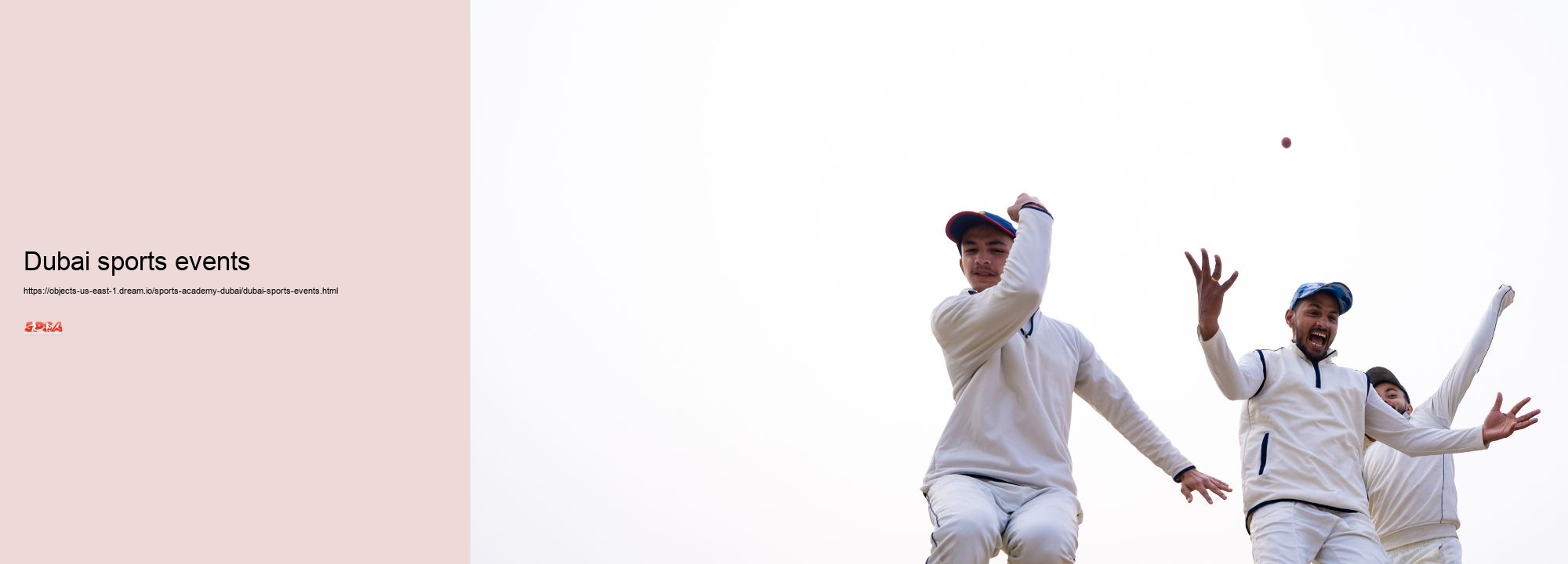 Dubai sports events