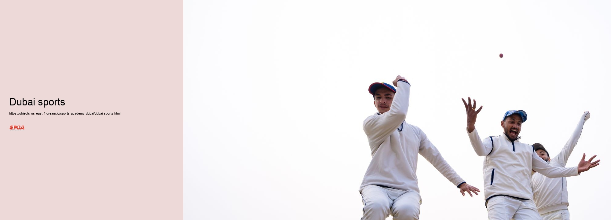 Dubai sports