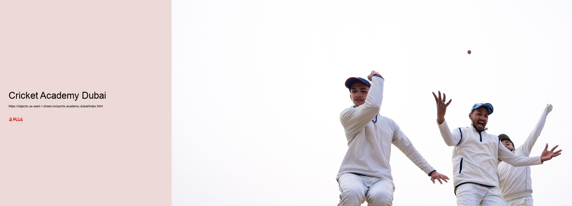 Cricket Academy Dubai