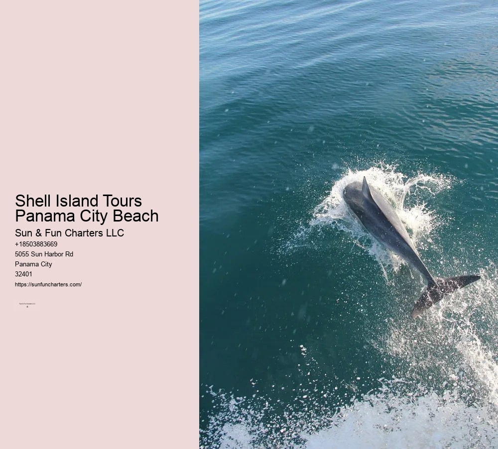 Panama City Beach Boat Tours To Shell Island
