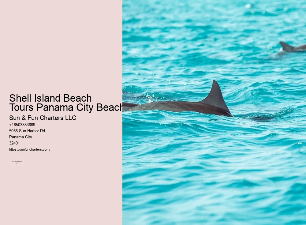 Shell Island Dolphin Cruise Panama City Beach