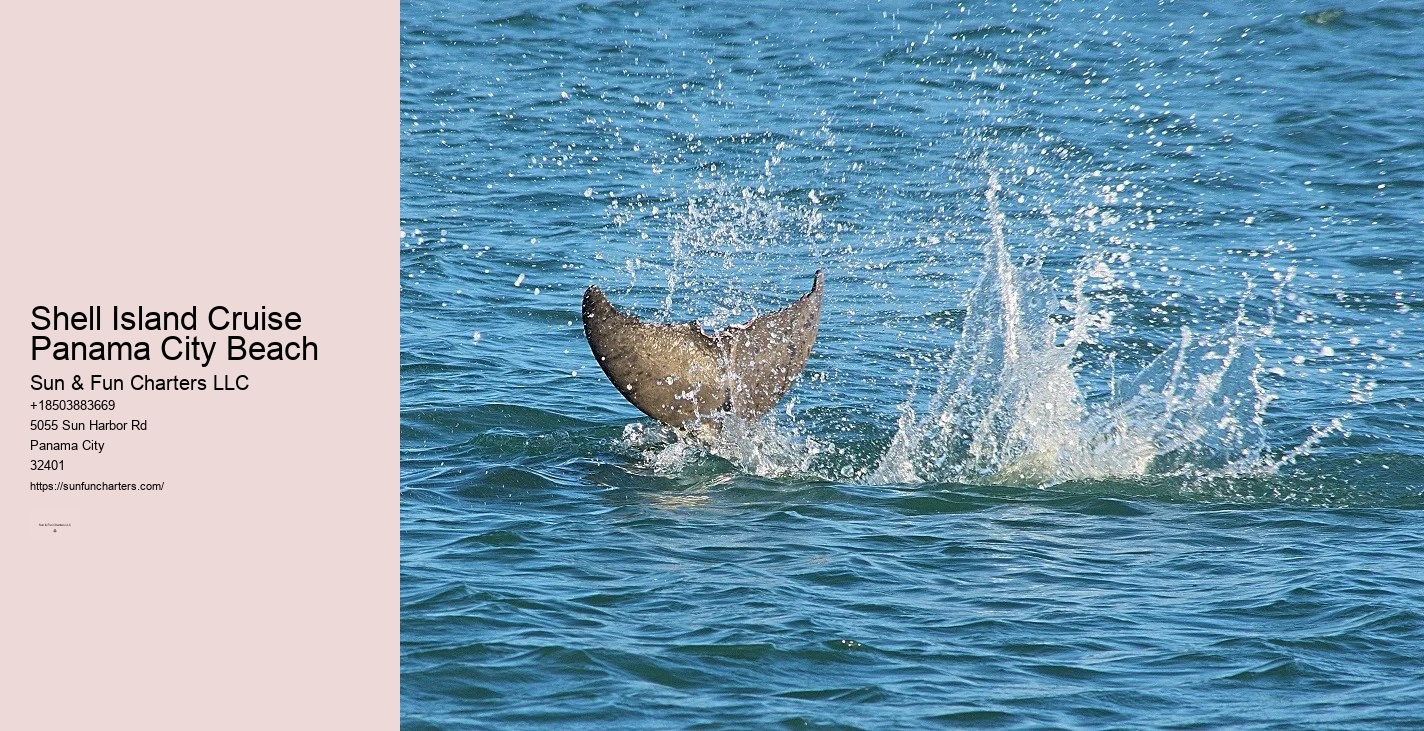 Shell Island Boat Tours Panama City Beach