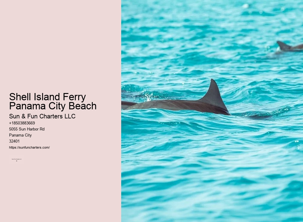 Shell Island Snorkeling Panama City Beach